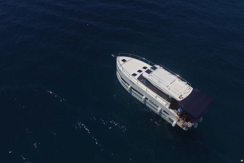 Cobra Futura 36