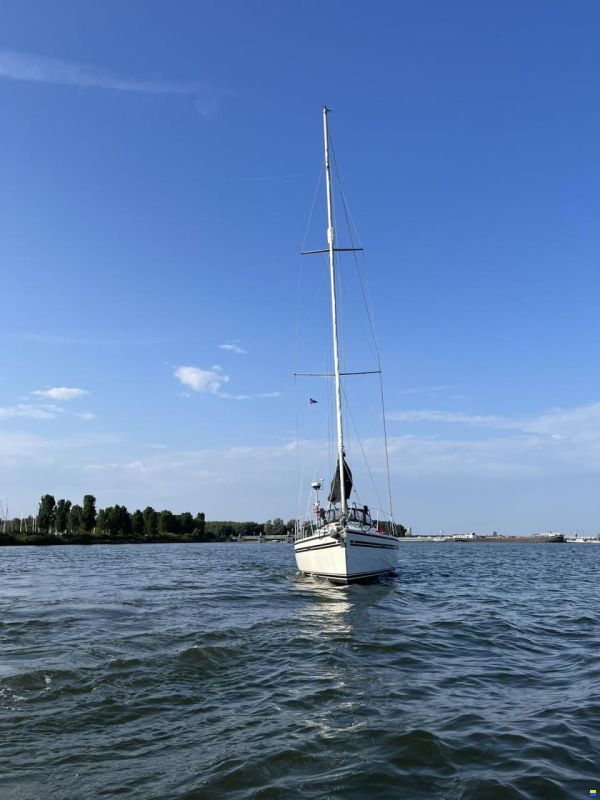 Dehler 35 CWS