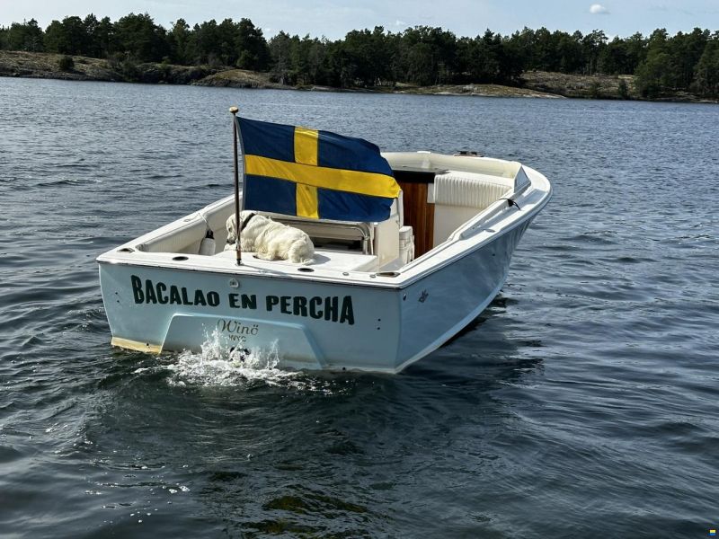Bertram 25 Open