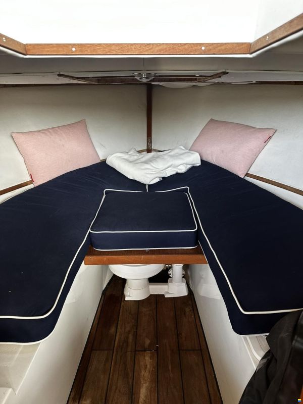 Bertram 25 Open
