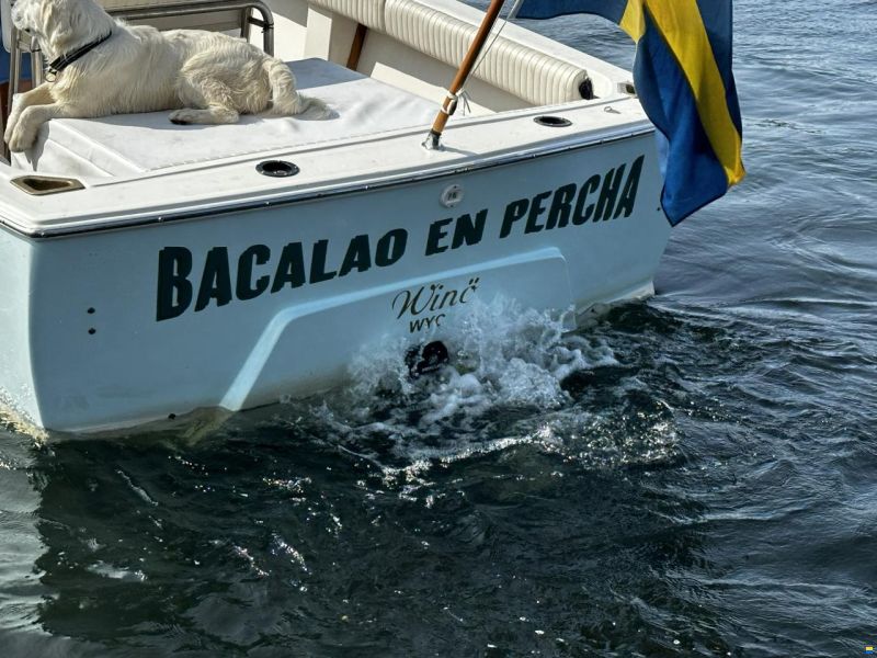 Bertram 25 Open