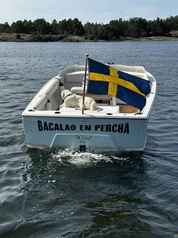 Bertram 25 Open