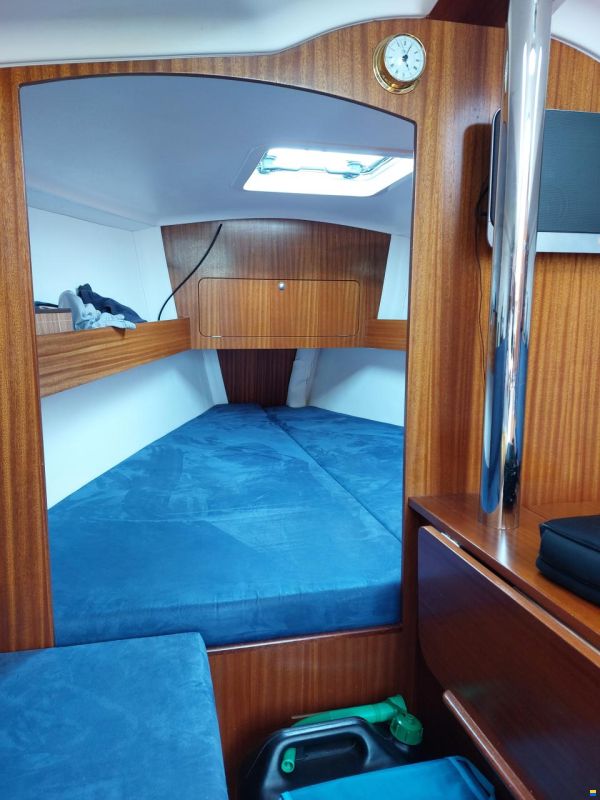 Delphia Delphia26