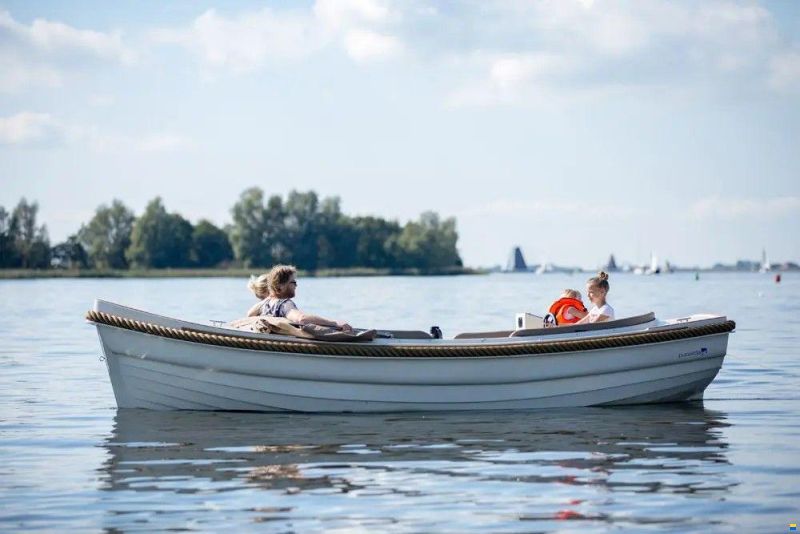 Pura Vida 550 Electric