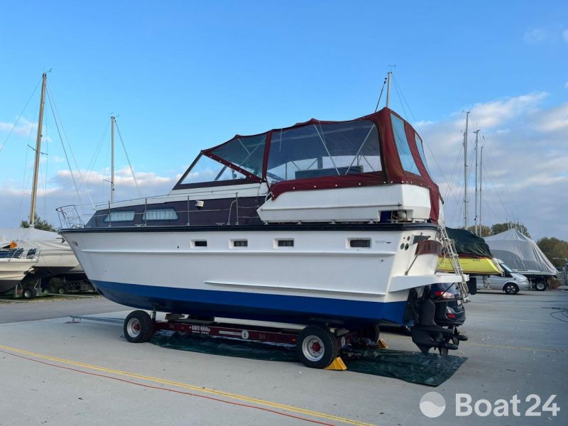 Cytra Ambassador 36