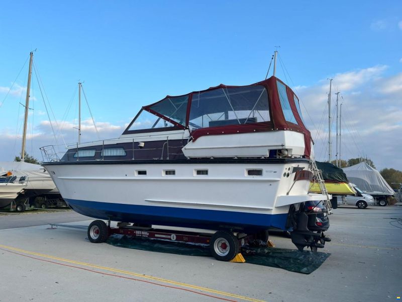 Cytra Ambassador 36