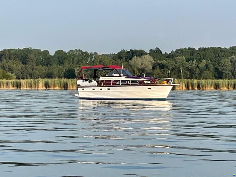 Cytra Ambassador 36