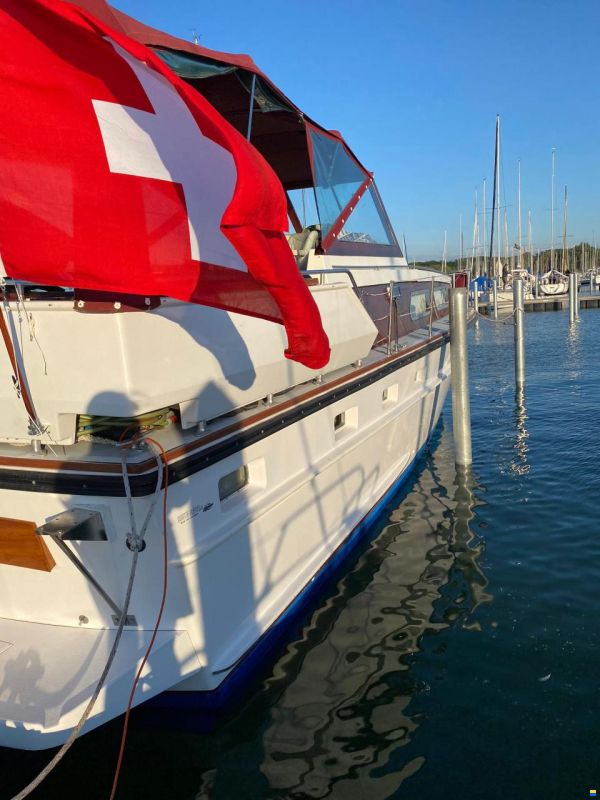 Cytra Ambassador 36