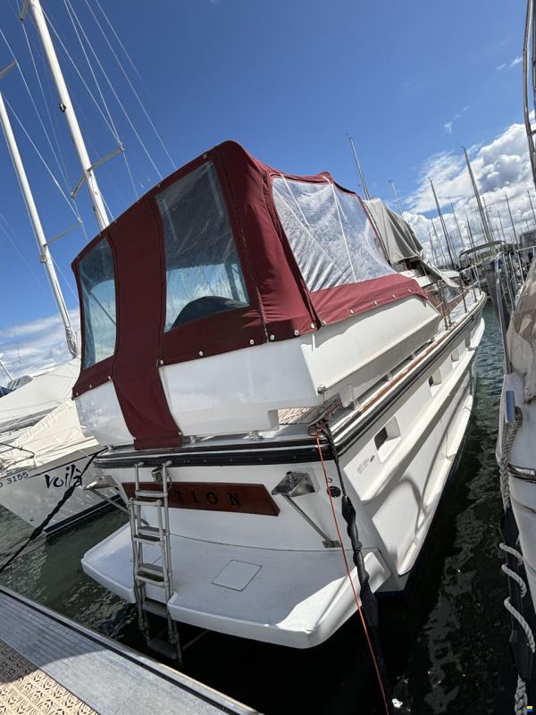 Cytra Ambassador 36