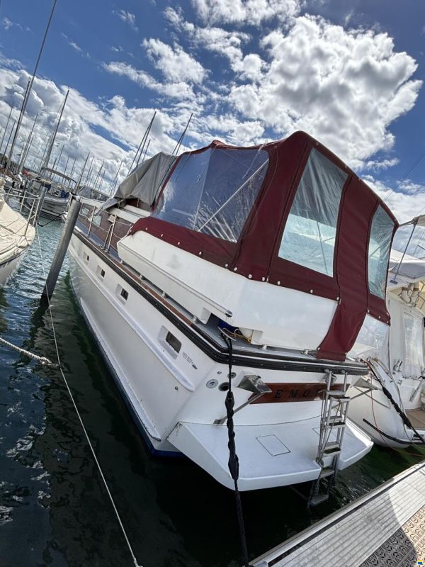 Cytra Ambassador 36