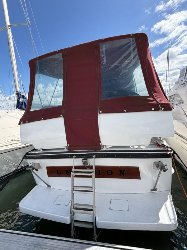 Cytra Ambassador 36