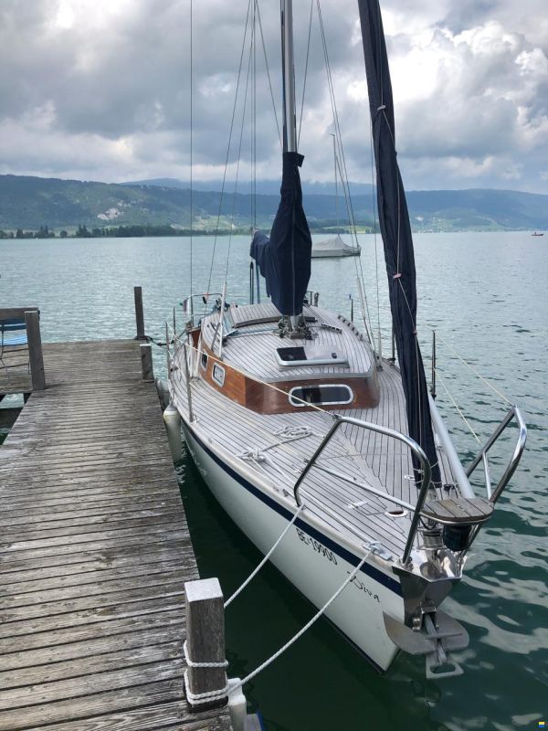 Bicker Biga 262