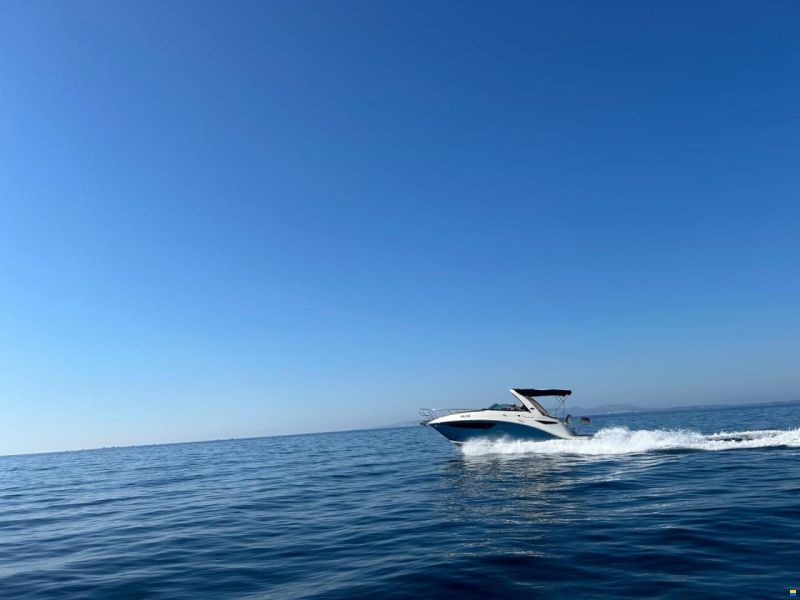 Sea Ray Sundancer 265