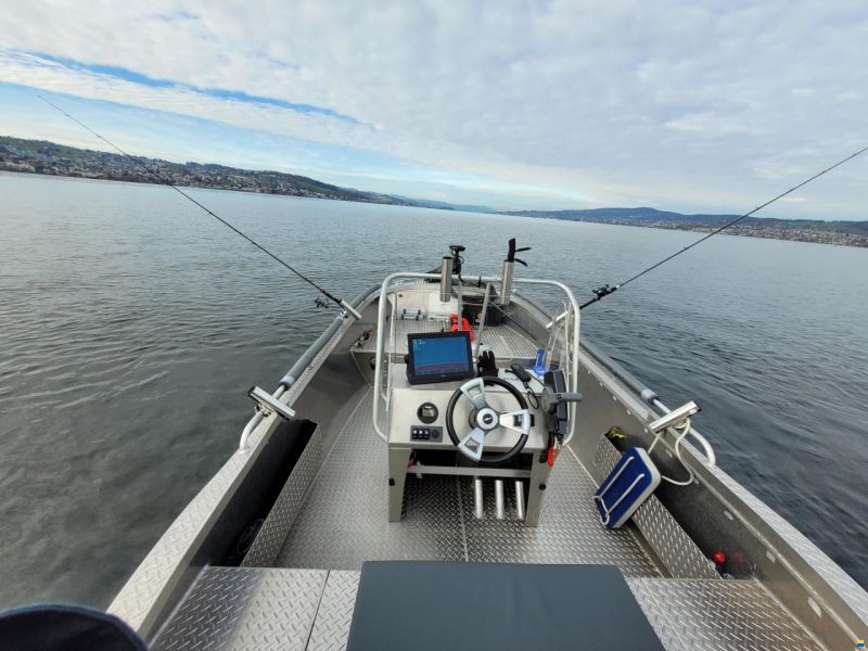 Kaasbøll Modell 17` Vertical Standart