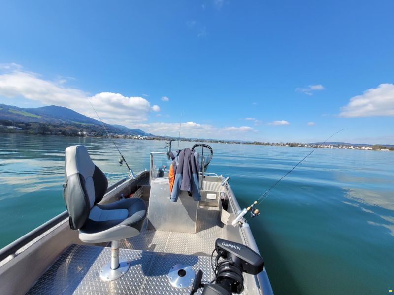 Kaasbøll Modell 17` Vertical Standart