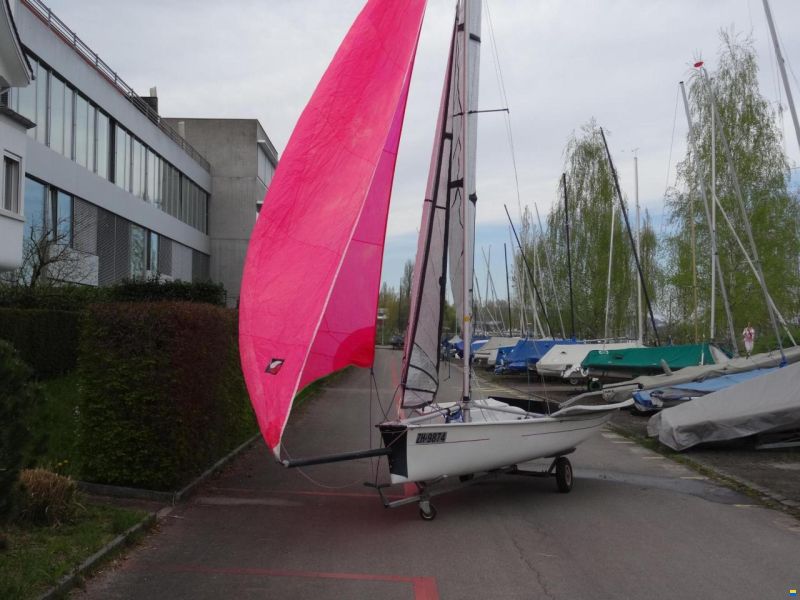 White Formula 474cm