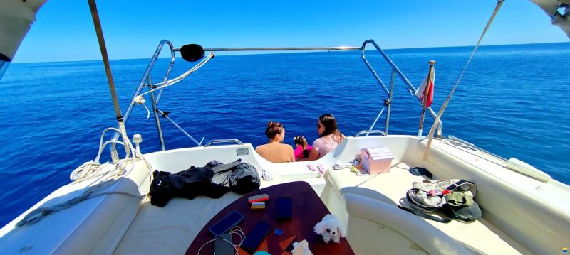 Beneteau Flyer Viva 9.20