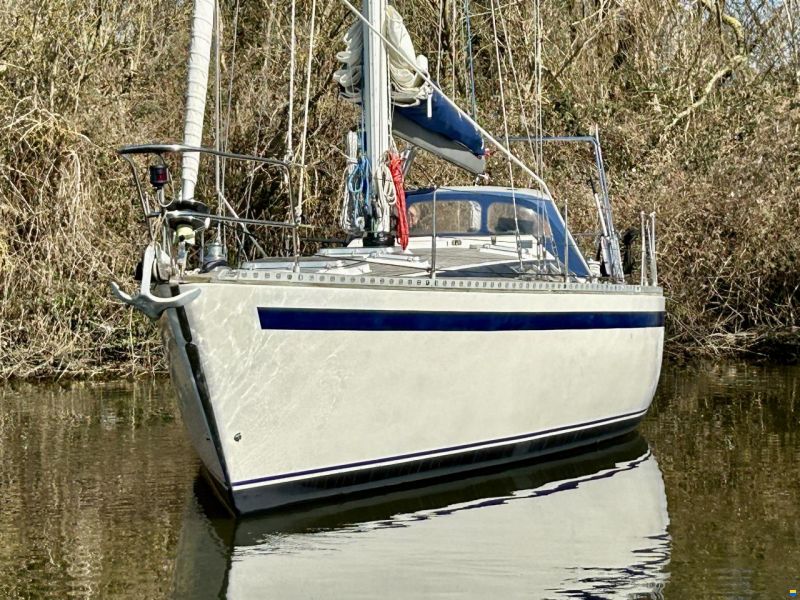 Kalik 40