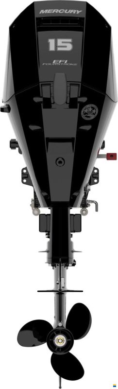 Mercury F 15 EL EFI Seapro