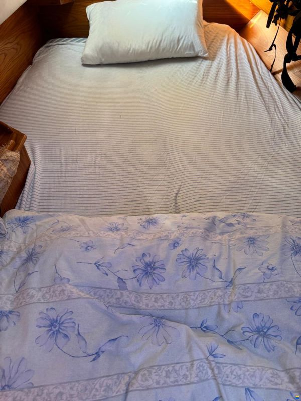 Alliaura Ovni 41