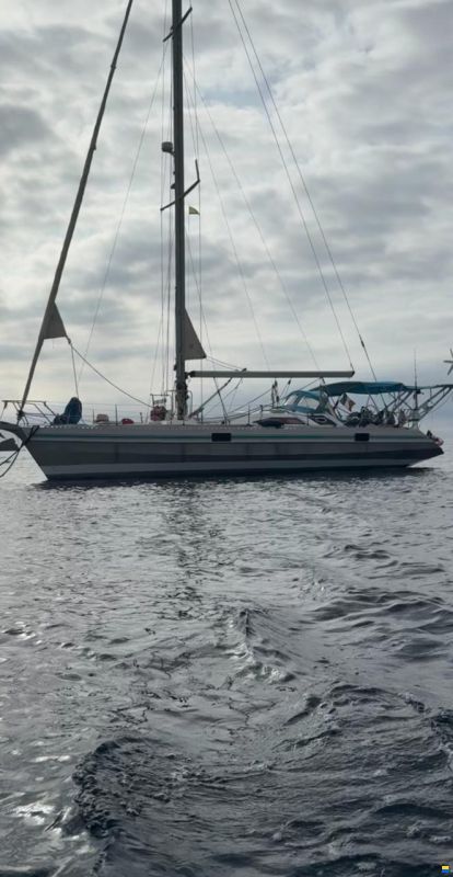 Alliaura Ovni 41