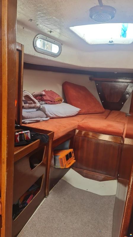 Vega Albin Vega 27