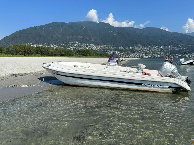 Swiss Cat 19 Rubin