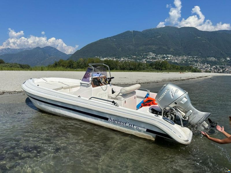 Swiss Cat 19 Rubin