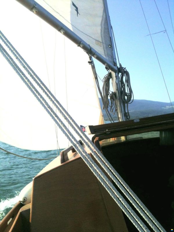 Luthi Flying Forty