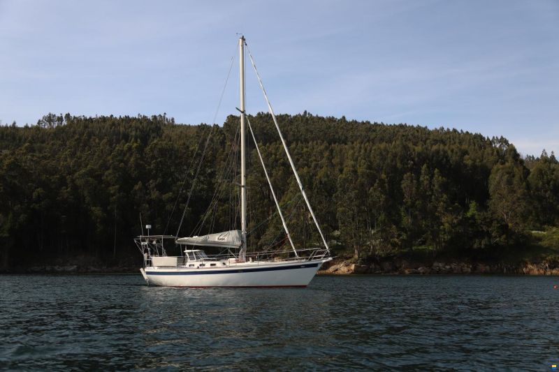 Koopmans 37