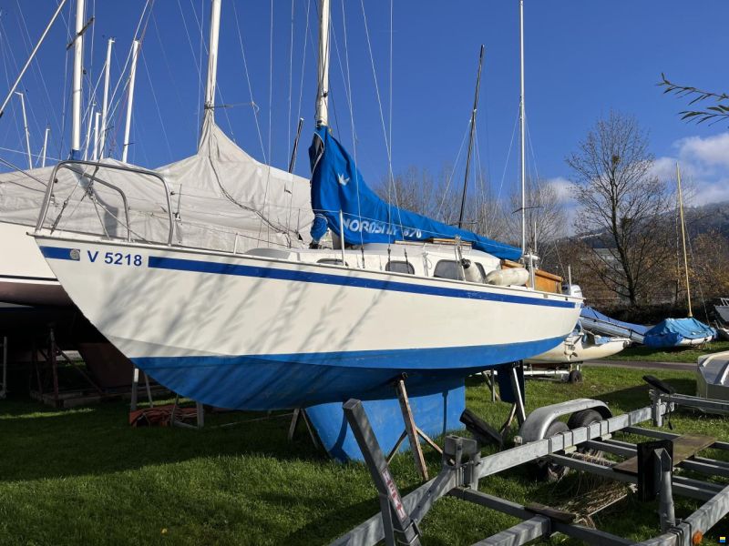 Wibo van Wijk Wibo 2