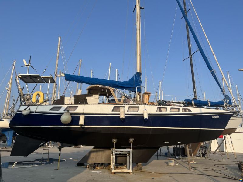 Reinke Hydra