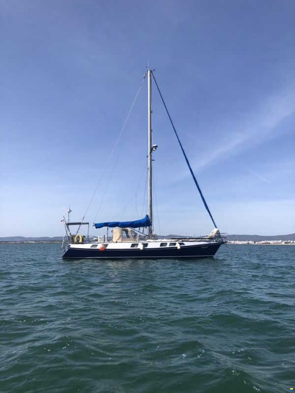Reinke Hydra