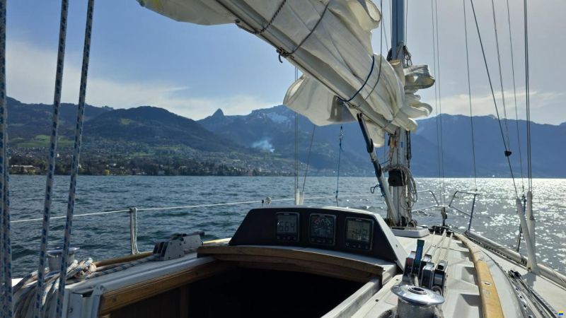 Conati 31