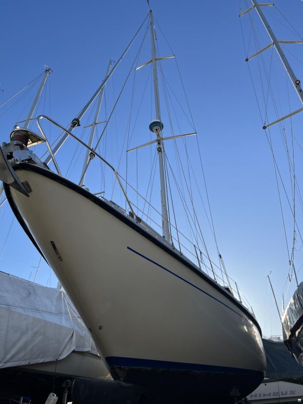 Coronet Elvström 38