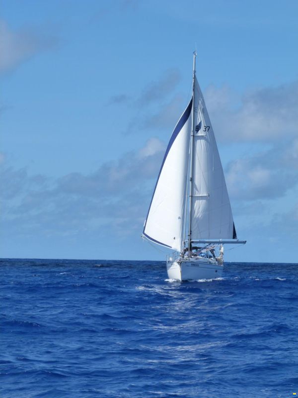 Bavaria 37 Cr