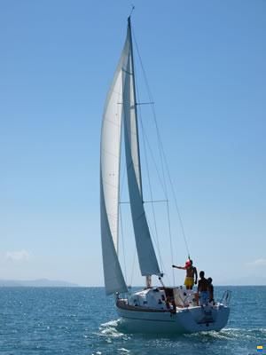 Blu Phoenix Hurricane 315 Cruiser NUOVA
