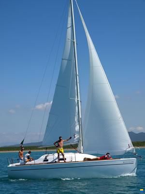 Blu Phoenix Hurricane 315 Cruiser NUOVA