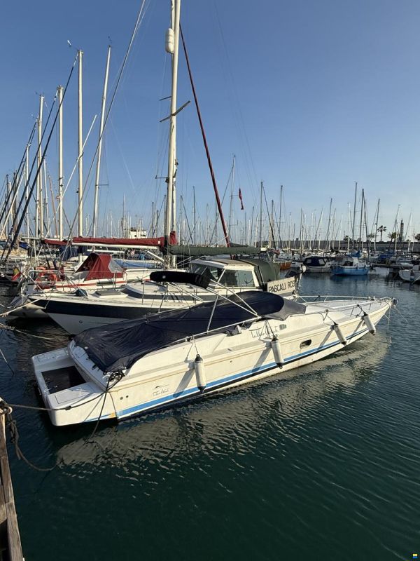 Tullio Abbate Offshore 36