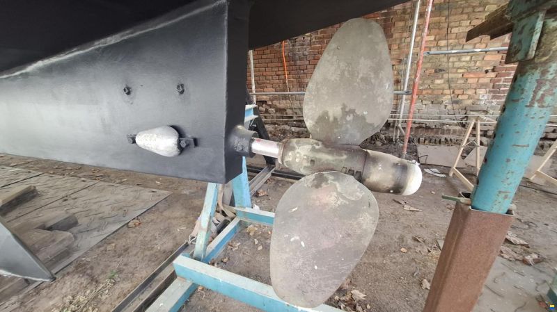 Reinke Hydra 50