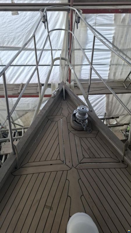 Reinke Hydra 50