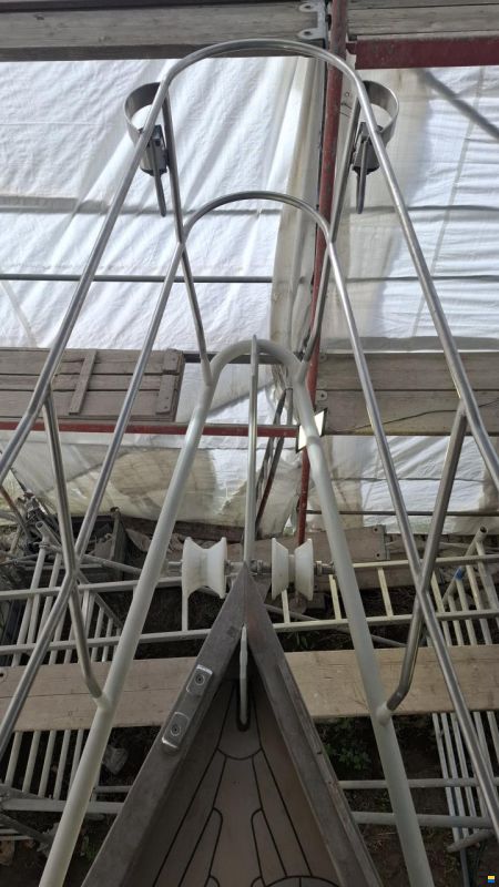 Reinke Hydra 50