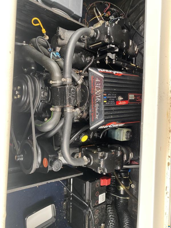 Invader Cuddy210