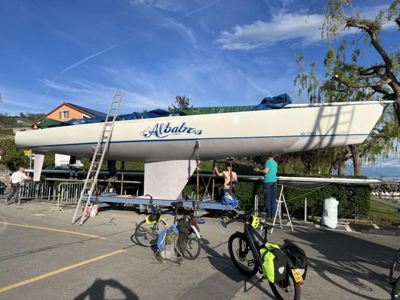 Albatros