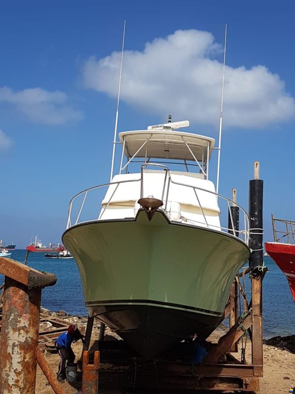 Henriques 38 Sportfish