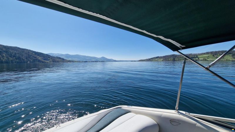 Crownline 202 CC