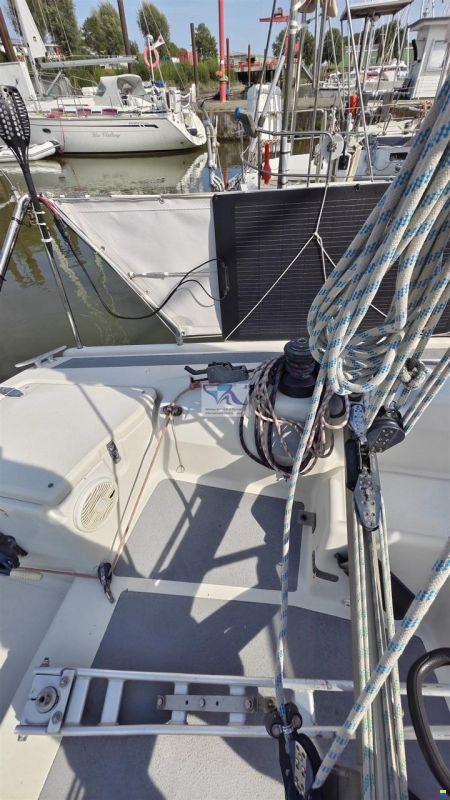Dehler 36 Match Race