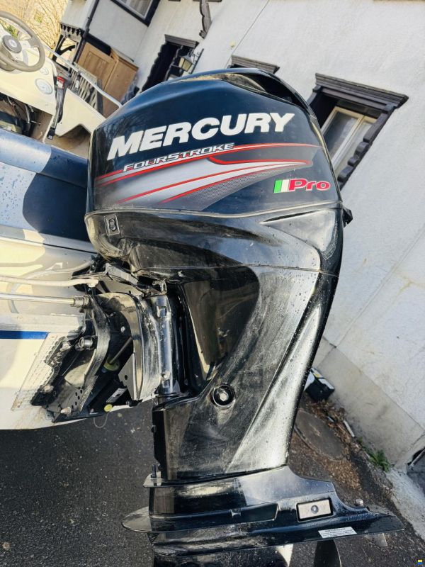 Mercury F 40 ELPT EFI