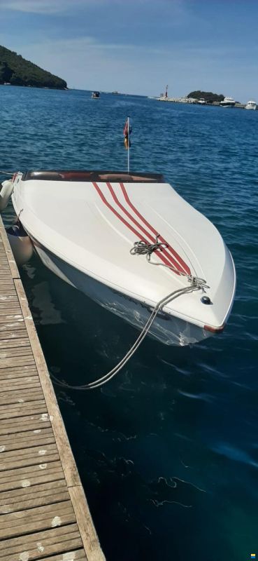 Scarab Wellcraft