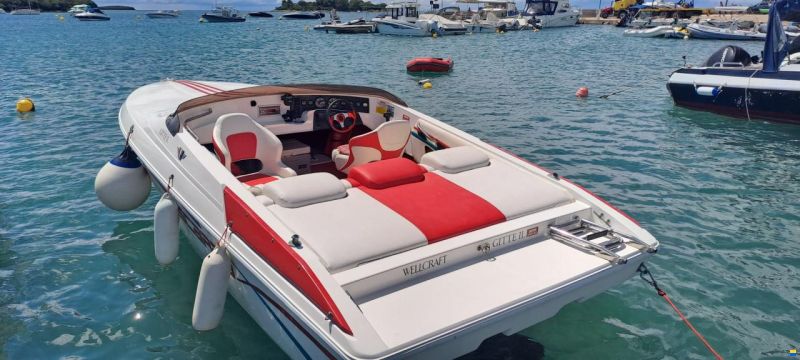 Scarab Wellcraft